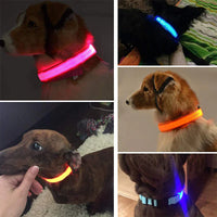 Dogs