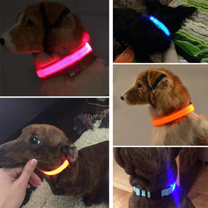 Dogs